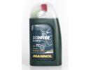 Масло моторное синтетическое 2-Takt Scooter 30, 1л