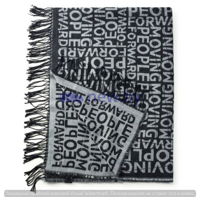Покрывало Volkswagen Reversible Blanket, Moving People Forward, Grey, артикул 33D084509