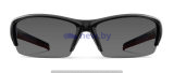 Солнцезащитные очки Ford ST Sunglasses, артикул 35020448 Солнцезащитные очки Ford ST Sunglasses, артикул 35020448