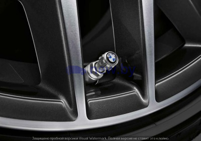 Комплект из 4-х колпачков на ниппель BMW Valve Stem Caps, артикул 36122447401