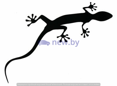 Наклейка-геккон на кузов Audi Gecko Film, Brilliant Black, артикул 4L0064317Y9B