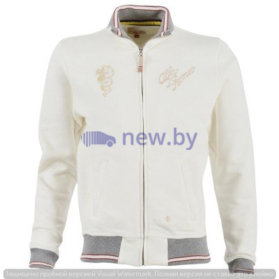 Мужская толстовка Alfa Romeo Men's Vintage Sweatshirt, артикул 5916678