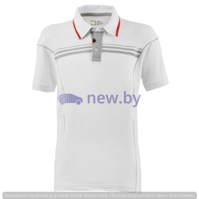 Мужская рубашка поло Alfa Romeo 4C Men's S-Sleeved Polo Shirt, White, артикул 5916718