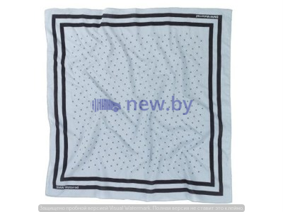 Женский платок BMW Motorrad Tuch Scarf, Light Blue, артикул 76898395822