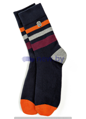 Носки унисекс BMW Motorrad Socks, Unisex, Multicolour, артикул 76899899150