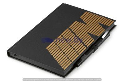 Блокнот с ручкой BMW M Notebook with M Pen, Black / Gold, артикул 80242466325