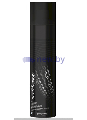 Смазка-спрей для цепей BMW Motorrad Chain Spray, 300 ml, артикул 83192408163