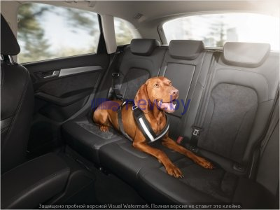 Ремень для собаки в салоне Audi, артикул 8X0019409