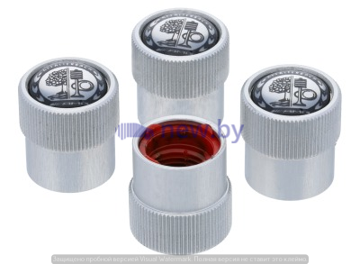 Колпачки ниппелей Mercedes-AMG Dust Caps, Silver, артикул B66472005