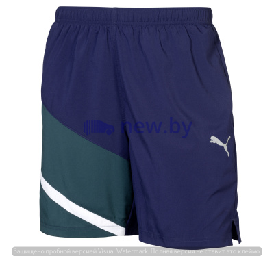 Мужские спортивные шорты Mercedes-Benz Men's Sport Pants, Green/Blue, by PUMA, артикул B66958778