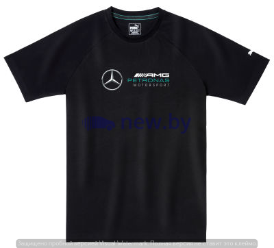 Мужская футболка Mercedes AMG Petronas Motorsport Logo T-Shirt, Men's, Black, артикул B67995431