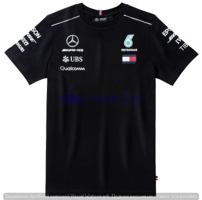Мужская футболка Mercedes AMG Petronas Men's T-shirt, Driver 2018, Black, артикул B67996089