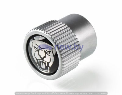 Набор из 4-х колпачков ниппелей Jaguar Valve Stem Marcue Caps, Growler Logo, артикул C2D19596