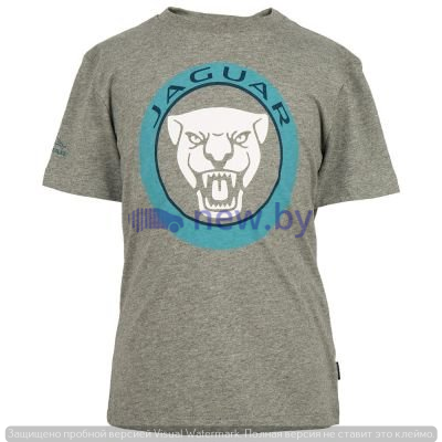 Футболка для мальчиков Jaguar Boys' Growler Graphic T-Shirt, Grey Marl, артикул JBTC040GMO