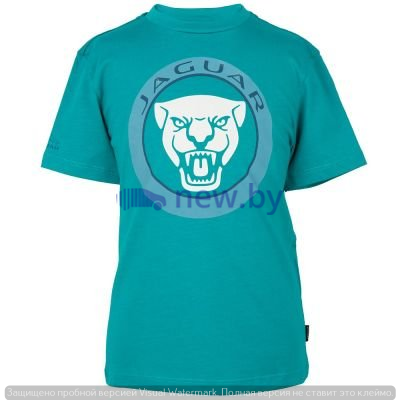 Футболка для мальчиков Jaguar Boys' Growler Graphic T-Shirt, Turquoise, артикул JBTC040TUO