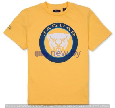 Футболка для мальчиков Jaguar Boys' Growler Graphic T-Shirt, Yellow, артикул JCTC040YLO