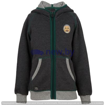 Толстовка для мальчиков Jaguar Boys' Full Zip Hoodie, Grey, артикул JDJC818GYR