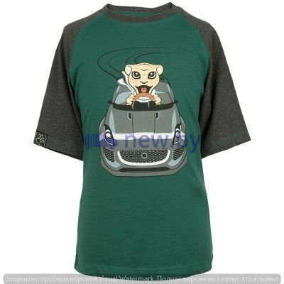 Футболка для мальчиков Jaguar Boys' Car Graphic, Green/Grey, артикул JDTC822GNO