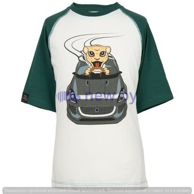 Футболка для мальчиков Jaguar Boys' Car Graphic, White/Green, артикул JDTC822WTO