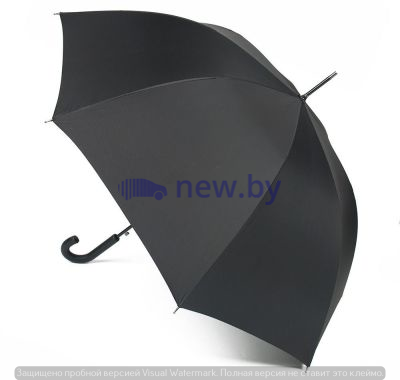 Мужской зонт-трость Range Rover Stick Automatic Umbrella, Black, артикул LEUM144BKA