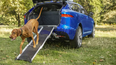 Складной пандус для домашних животных Jaguar Pet Access Ramp, артикул T2H38744