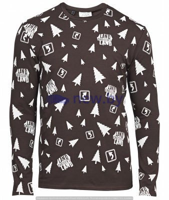 Мужская футболка с длинным рукавом Toyota Men's Longsleeve, Brown, артикул TMLCL3M03M00