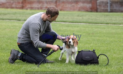 Переносной душ для домашних животных Land Rover Portable Rinse System, артикул VPLCS0519