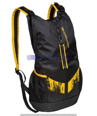 Спортивный рюкзак Porsche Rucksack – GT4 Clubsport, артикул WAP0353400LCLS